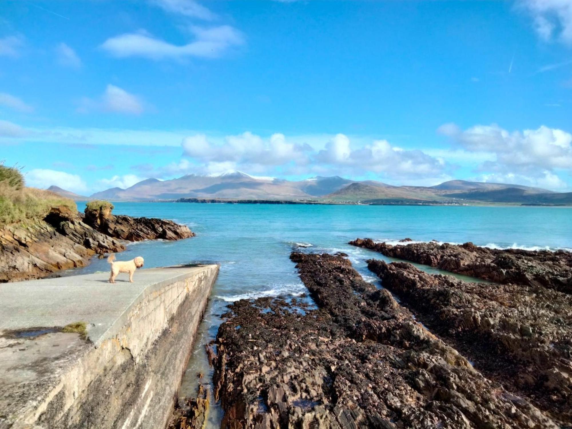 Murphy'S Guesthouse Dingle Bagian luar foto